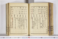 明い009050010014.jpg