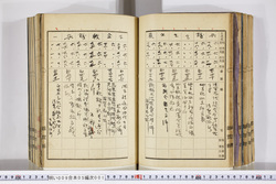 明い009050010015.jpg