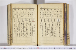 明い009050010016.jpg