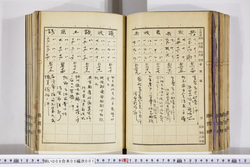 明い009050010017.jpg