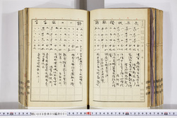 明い009050010018.jpg