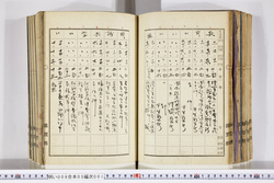 明い009050010021.jpg