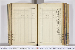 明い009050010023.jpg