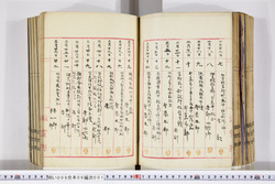 明い009060010002.jpg
