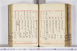 明い009060010003.jpg
