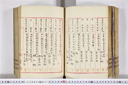 明い009060010004.jpg