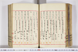 明い009060010005.jpg
