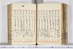 明い009060010006.jpg