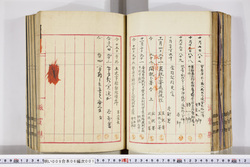 明い009060010007.jpg