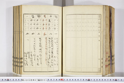 明い009070010003.jpg