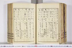明い009070010005.jpg