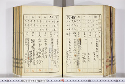 明い009070010006.jpg