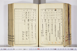 明い009070010007.jpg
