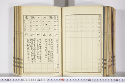 明い009080010003.jpg