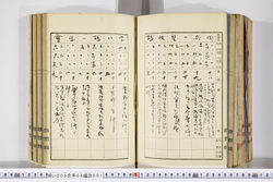 明い009080010005.jpg