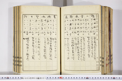 明い009080010009.jpg