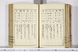 明い009080010010.jpg