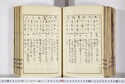明い009080010011.jpg
