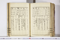 明い009100010007.jpg