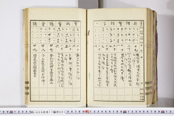 明い009110010005.jpg