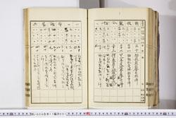 明い009110010006.jpg