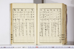明い009110010007.jpg