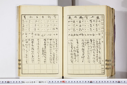 明い009110010012.jpg