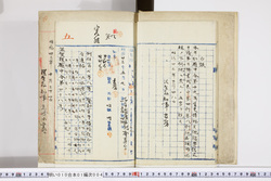 明い010010040002.jpg