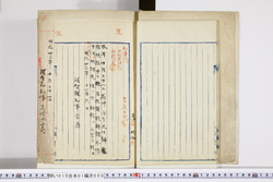 明い010010080002.jpg
