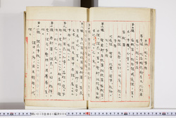 明い010010090005.jpg
