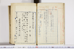 明い010010100002.jpg
