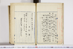 明い010010100003.jpg