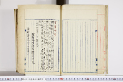 明い010010100004.jpg