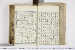 明い010020010002.jpg