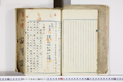 明い010020010007.jpg