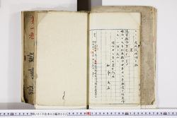 明い010020020002.jpg