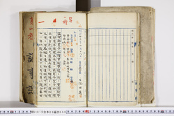 明い010030000005.jpg