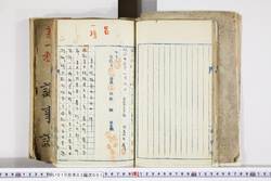 明い010030010004.jpg