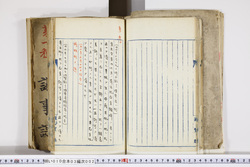 明い010030020004.jpg