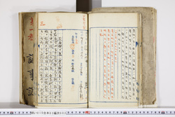 明い010030020005.jpg