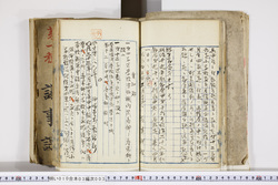明い010030030002.jpg