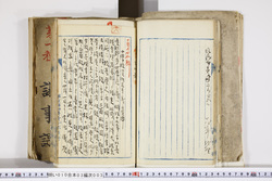 明い010030030003.jpg