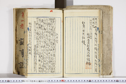 明い010030030004.jpg