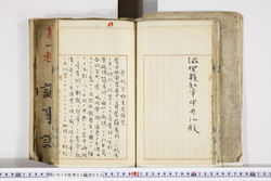 明い010030030007.jpg