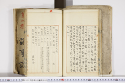 明い010030030008.jpg