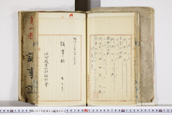 明い010030030011.jpg