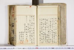 明い010030030014.jpg