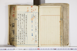 明い010030030015.jpg