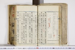 明い010030040003.jpg