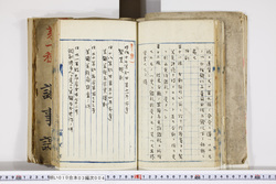 明い010030040004.jpg